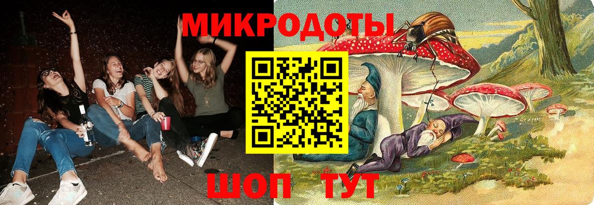 Галлюциногенные грибы Psilocybine cubensis Губкинский